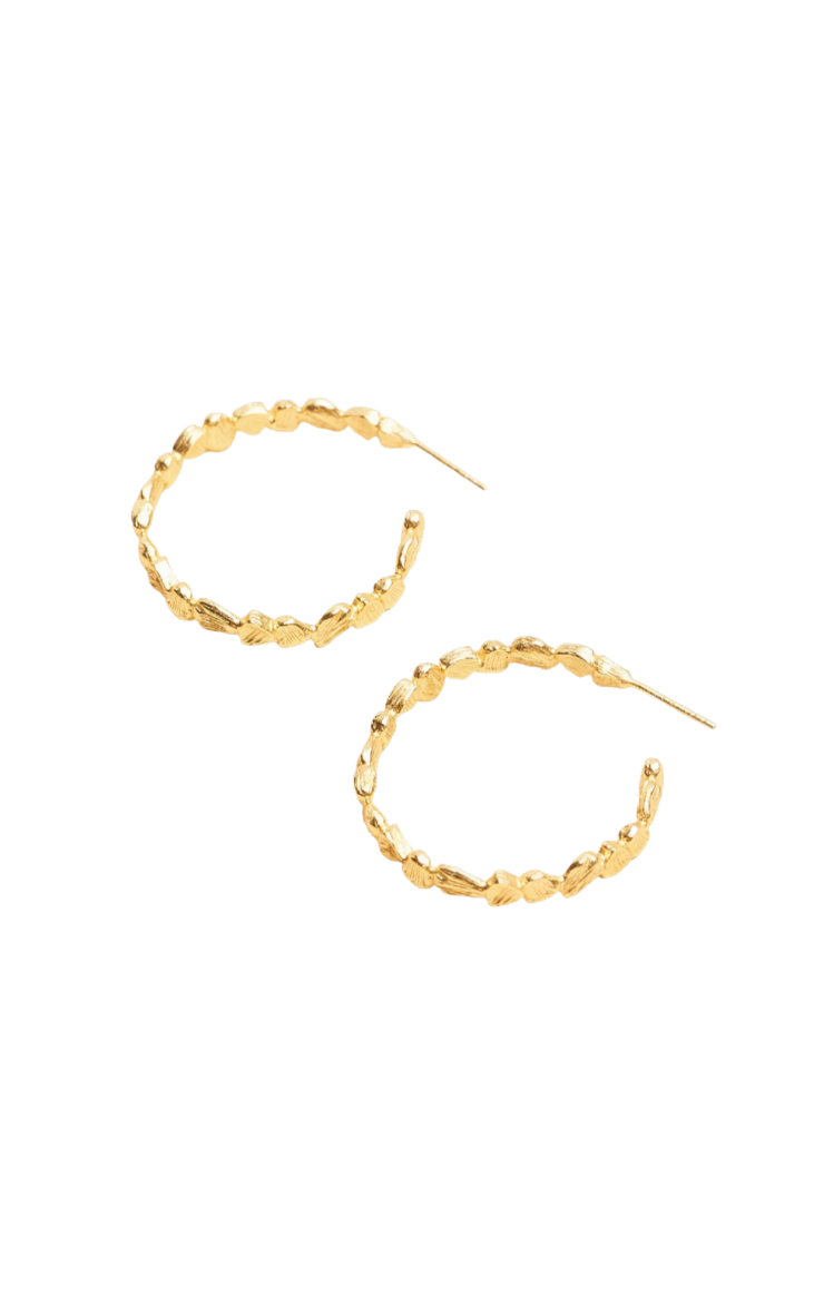 Susu Aretes