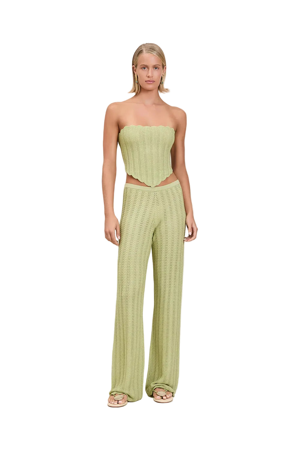 Gavi Pant