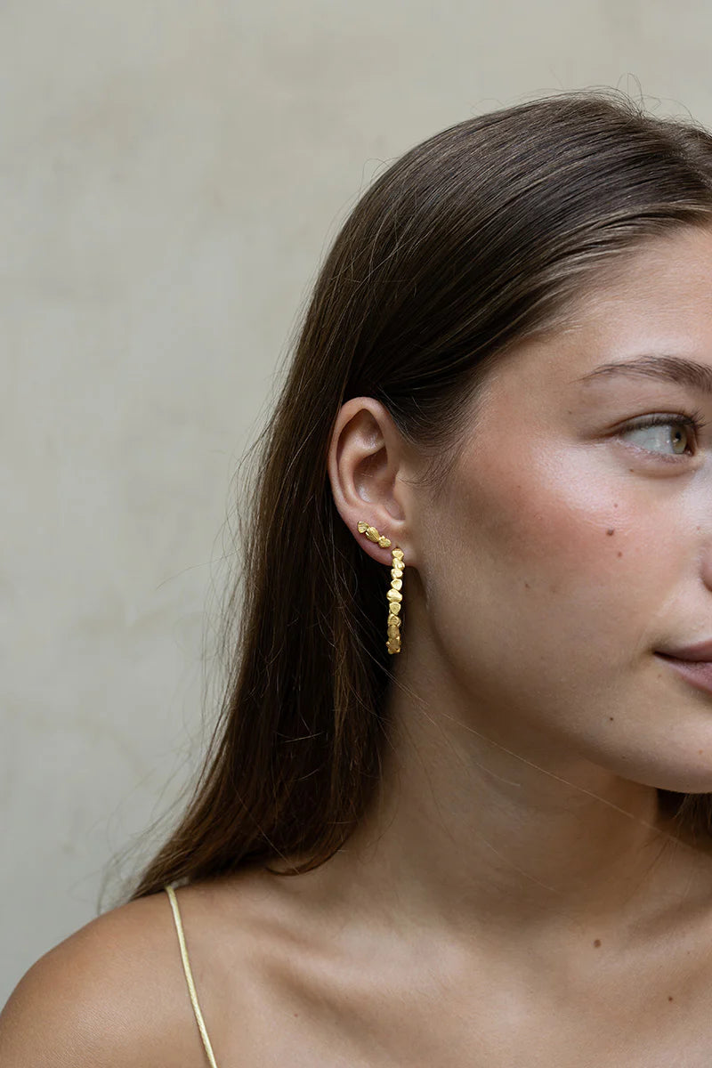 Susu Aretes