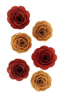 Flora Grande Vela